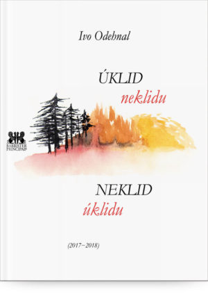 Neklid úklidu – úklid neklidu