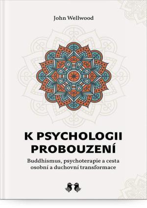 K psychologii probouzení