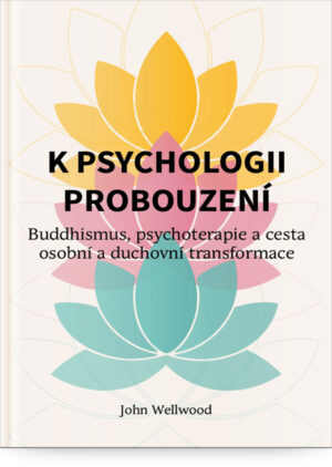 K psychologii probouzení