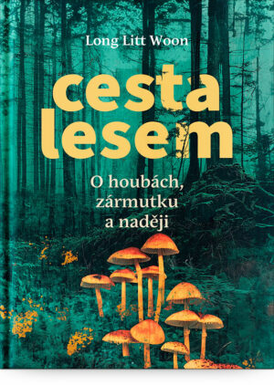 Cesta lesem